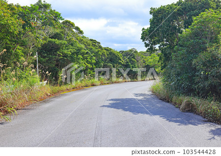 沖繩的國頭東線,山路風光 沖繩的國頭東線,山路風光 103544428