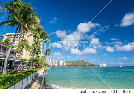 Superb view of Hawaii [Waikiki, Grays Beach] 103544636