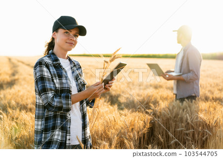 Couple of farmers examines the field of cereals Couple of farmers examines the field of cereals 103544705