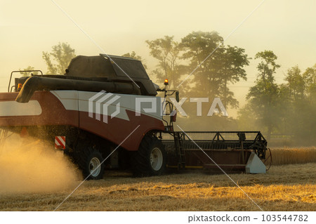 Combine harvester harvests wheat 103544782