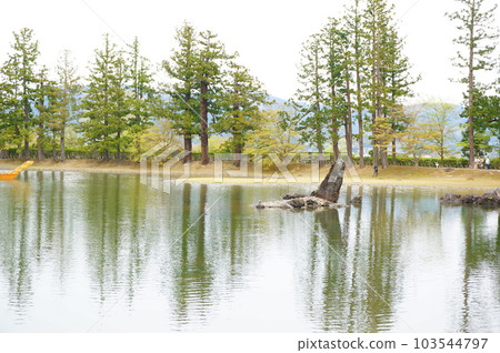 Pure-land gardens of Hikoshi-ji 103544797