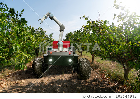 Autonomous robot harvester with robotic arm harvesting fruits on a smart farm. 103544982