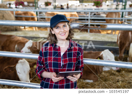 Woman farmer with tablet computer inspects cows at a dairy farm. Woman farmer with tablet computer inspects cows at a dairy farm. 103545197