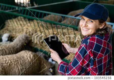 Woman farmer with tablet in a sheepfold. 103545238