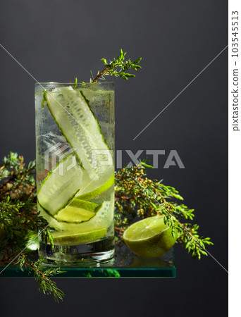 Gin and Tonic with ice, lime, cucumber, and juniper  branches. 103545513