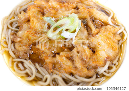 美味的二八蕎麥麵配 Kakiage 103546127