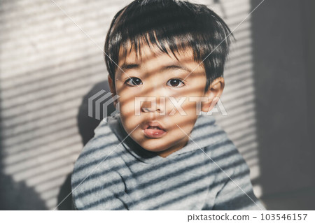 Portrait looking at camera sitting by the window 103546157