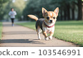 Dog running in the park AI generation tool 103546991