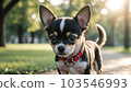 Dog walking in the park AI generation tool 103546993
