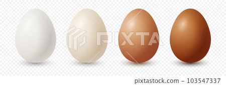 Vector 3d Realistic White, Brown Chicken Eggs. Textured Chicken Egg Icon Set Closeup Isolated. Vector Different Color Eggs Isolated. Whole Egg Collection in Front View 103547337