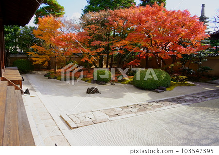Myoken-ji Temple in Autumn/Four Seas Teaching Garden and Autumn Leaves (Kamigyo Ward, Kyoto City) Myoken-ji Temple in Autumn/Four Seas Teaching Garden and Autumn Leaves (Kamigyo Ward, Kyoto City) 103547395
