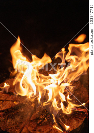 篝火火焰 篝火火焰 103547713