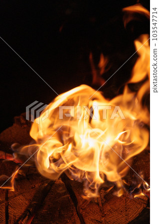 Bonfire flame Bonfire flame 103547714