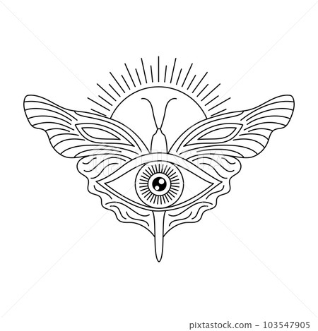 All seeing eye and butterfly All seeing eye and butterfly 103547905