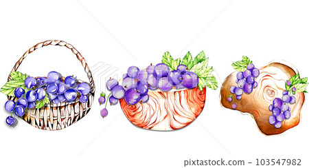 juicy black currant, jam. watercolor illustration of the berry collection. for design and postcards, invitations, posters, menus. 103547982