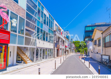 Cat Street Promenade connecting Shibuya and Omotesando Cat Street Promenade connecting Shibuya and Omotesando 103548081