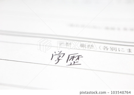 Curriculum vitae and work history columns Curriculum vitae and work history columns 103548764
