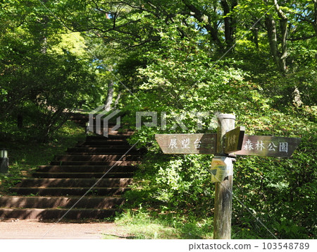 通往展望台的伊香保溫泉上野山公園長廊 通往展望台的伊香保溫泉上野山公園長廊 103548789