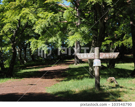 伊香保溫泉 上野山公園 楓葉廣場 伊香保溫泉 上野山公園 楓葉廣場 103548790