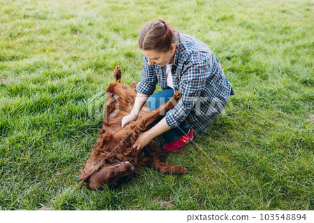 Beautiful young woman playing with her lIrish Setter dog in a park outdoors. Happy Lifestyle portrait. Full body, Pet care Beautiful young woman playing with her lIrish Setter dog in a park outdoors. Happy Lifestyle portrait. Full body, Pet care 103548894