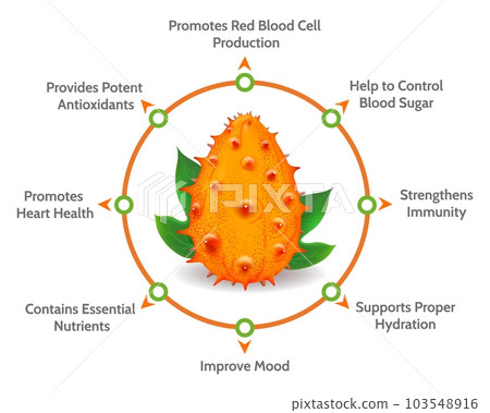 Kiwano melon benefits diagram Kiwano melon benefits diagram 103548916