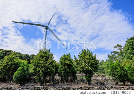 Windmill Wind power generation image Windmill Wind power generation image 103549003