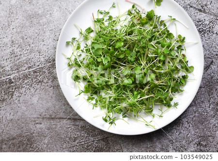 Plate with microgreens on a concrete table 103549025