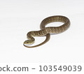 Sakishima Green Snake Baby Snake 103549039