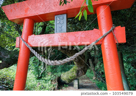 平石權現神社 103549079