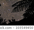 Starry sky and Hikagehego seen from Yanbaru Forest 103549450
