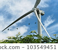 Windmill, flowers, and bluebottle 103549451