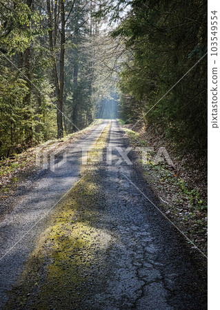 Natural scenery, Polana mountains, Slovakia 103549554