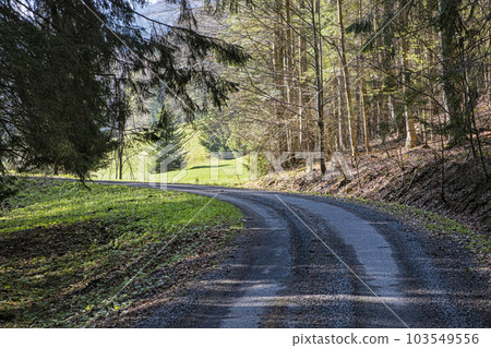 Natural scenery, Polana mountains, Slovakia Natural scenery, Polana mountains, Slovakia 103549556