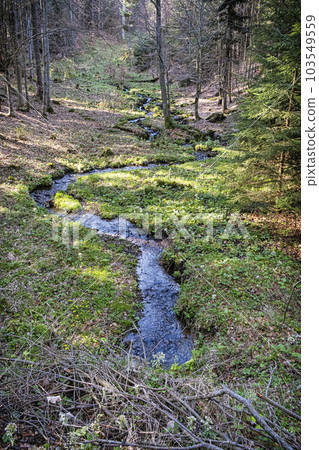 Natural scenery, Polana mountains, Slovakia Natural scenery, Polana mountains, Slovakia 103549559