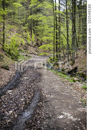 Natural scenery, Polana mountains, Slovakia Natural scenery, Polana mountains, Slovakia 103549580