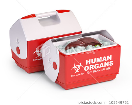 Human organ for transplant refrigerator box with a lever isolated on white.. 103549761