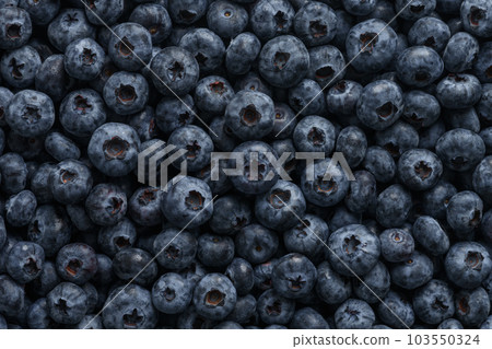 Fresh ripe washed blackberries background Fresh ripe washed blackberries background 103550324
