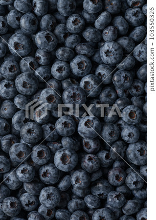 Fresh ripe washed blackberries background Fresh ripe washed blackberries background 103550326