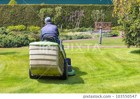 A gardener takes care of a green lawn by cutting the grass while riding a tractor lawn mower on a bright spring day. A gardener takes care of a green lawn by cutting the grass while riding a tractor lawn mower on a bright spring day. 103550547