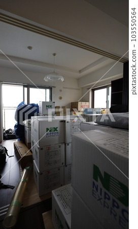 Room where cardboard piled up when moving Room where cardboard piled up when moving 103550564