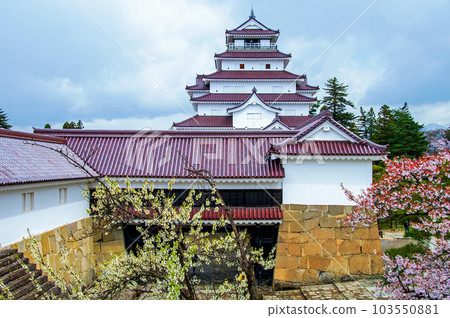 Aizuwakamatsu, Fukushima Prefecture Tsurugajo castle tower and cherry blossoms Aizuwakamatsu, Fukushima Prefecture Tsurugajo castle tower and cherry blossoms 103550881
