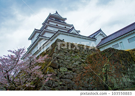 Aizuwakamatsu, Fukushima Prefecture Tsurugajo castle tower and cherry blossoms Aizuwakamatsu, Fukushima Prefecture Tsurugajo castle tower and cherry blossoms 103550883