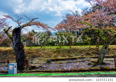 Fukushima prefecture Aizuwakamatsu Tsurugajo Tsubakizaka Fukushima prefecture Aizuwakamatsu Tsurugajo Tsubakizaka 103551191