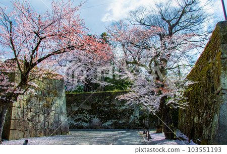 Aizuwakamatsu, Fukushima Prefecture, Tsuruga Castle, Drum Gate, Sakura Aizuwakamatsu, Fukushima Prefecture, Tsuruga Castle, Drum Gate, Sakura 103551193