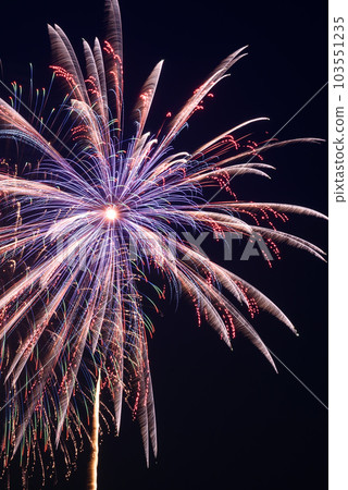 Fireworks that shoot up into the night sky/single shot (Todabashi/Itabashi Fireworks Festival) 103551235