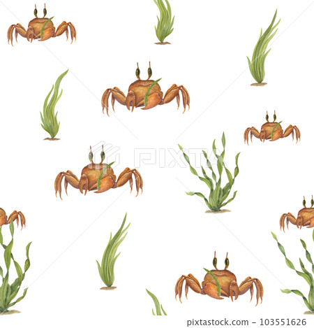 Watercolor underwater seamless pattern of brown cartoon crabs, green seaweeds isolated on white background. Hand painted illustration for design, background, menus, wallpaper, fabric, wrapping. 103551626