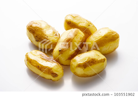 potato  103551902