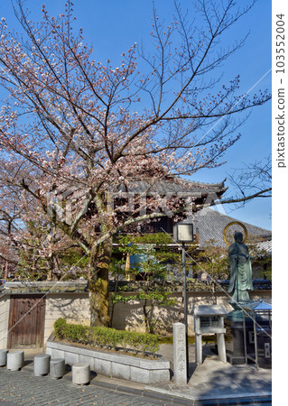 Cherry blossoms at Maruyama Jizoson 103552004