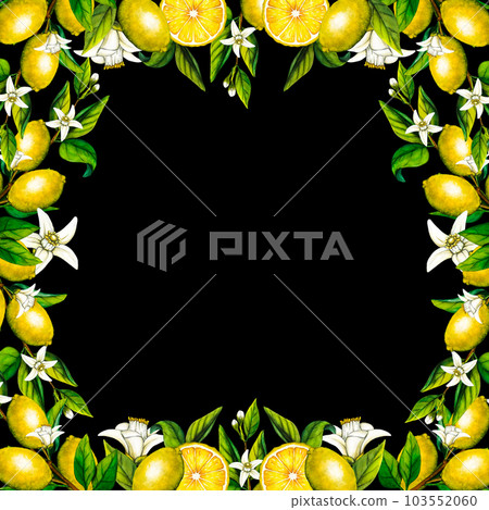 Watercolor frame lemon tree branch with flowers isolated on black background. Hand drawn botanical illustration of yellow citrus fruits. Clipart objects for design Watercolor frame lemon tree branch with flowers isolated on black background. Hand drawn botanical illustration of yellow citrus fruits. Clipart objects for design 103552060