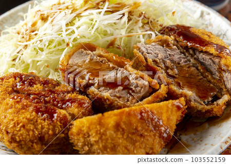 一盤美味的醬汁炸豬排 103552159